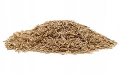 Discount Gräs 1kg SOS Regenerativa Gräsfrön för Översådd 40m2 Egarden Fröer & Lökar