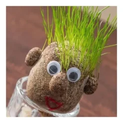 New Gräshårhuvud att växa Kit För Växt- & Örtplantering