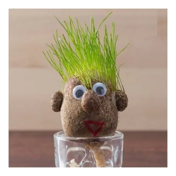 New Gräshårhuvud att växa Kit För Växt- & Örtplantering