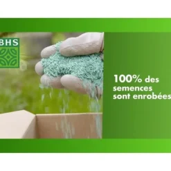 Gräsmatta - BHS - Gräsmatta vid havet 1kg | 40m² | Motståndskraftig mot vind, torka, salthalt | Vacker sommargräsmatta, estetisk och robust. Jord & Sand