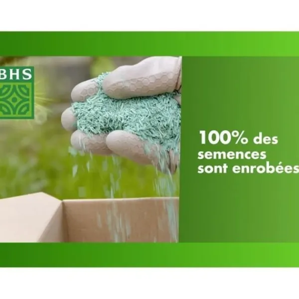 Gräsmatta - BHS - Seaside Lawn 1kg | 40m² | Resistent mot vind, torka och salt | Vacker, attraktiv och robust sommargräsmatta.