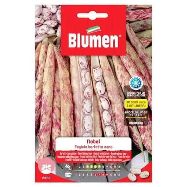 New HALV KVINNA BÖNOR NOBEL BLUMEN FRÖ VÄXTHUS Fröer & Lökar