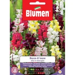 Clearance HALV LEJONHUVUD HÖG BLANDAT BLOMMOR FRÖTRÄDGÅRD BLUMEN Fröer & Lökar