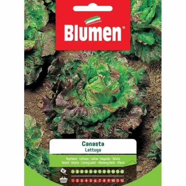 HALV SALLAD KORG BLUMMA SALLAD