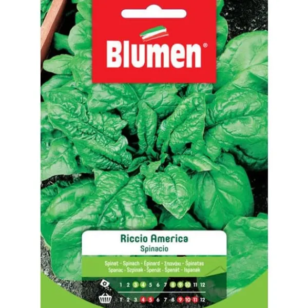 HALV SPINACH RICCI OCH AMERIKA BLOMMOR FRÖ TRÄDGÅRD Fröer & Lökar