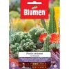 HALVMIX KAKTUSVÄXTER BLOMSTER TRÄDGÅRDSSAMT SÄDESÄTTNINGAR