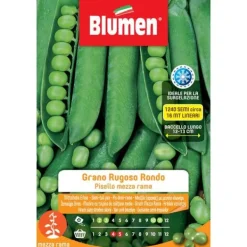 HALVSTAMMIGA ÄRTFRÖN RUGGIG RUND BLUMEN