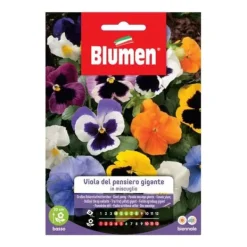 Online HALVVIOLA DEL PENSIERO GIGANTE BLUMEN Fröer & Lökar