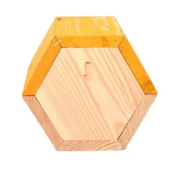Hexagonal biodla - L 14,6 x l 14,8 x H 12,8 cm