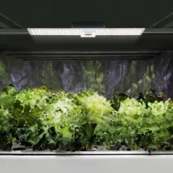 Sale hillvert - Odlingslampa - Fullspektrum - 2,000 W - 468 LED - 20 000 Lumen Kit För Växt- & Örtplantering