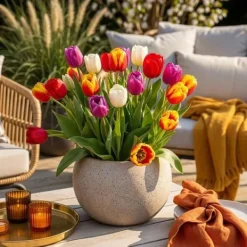 Best Hjärta av exotism blomsterlökar - Tulpaner Tulipa Triumph Mix (15 stycken) diameter 11-12cm Blommor