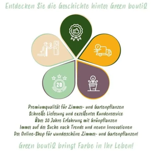 Best Hjärta av exotism blomsterlökar - Tulpaner Tulipa Triumph Mix (15 stycken) diameter 11-12cm Blommor