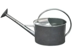 Online Home it® vattenkanna med sprutare 5 liter galvaniserad Bevattning