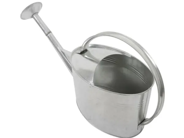 Online Home it® vattenkanna med sprutare 5 liter galvaniserad Bevattning