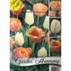 Best HÖSTBULB LÄNGD 15 ST TULPANER I ORANGE OCH PASTELL FÖR BLOMBED OCH KRUKOR Fröer & Lökar