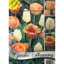 Best HÖSTBULB LÄNGD 15 ST TULPANER I ORANGE OCH PASTELL FÖR BLOMBED OCH KRUKOR Fröer & Lökar
