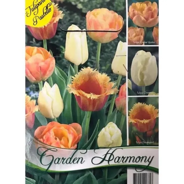 Best HÖSTBULB LÄNGD 15 ST TULPANER I ORANGE OCH PASTELL FÖR BLOMBED OCH KRUKOR Fröer & Lökar