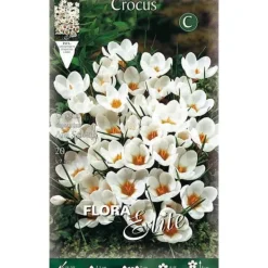 New HÖSTBULBER CROCUS CHRYSANTHUS ARD SCHENK FÖRPACKNING 15 BULBER Fröer & Lökar