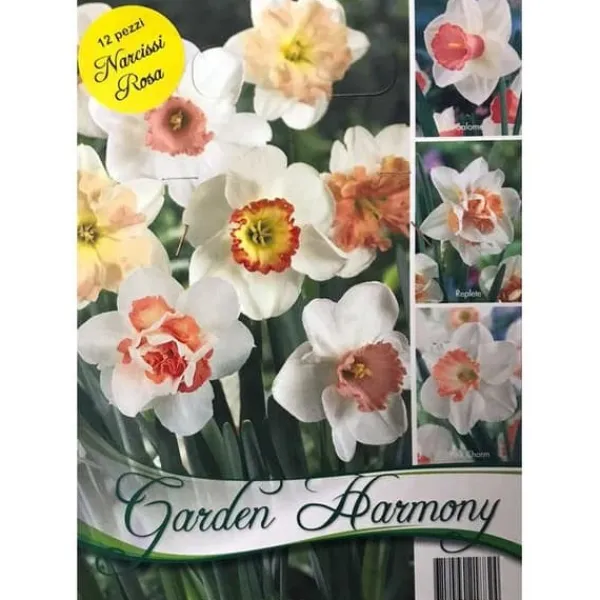 HÖSTBULBSPAKET 12 BULBARN AV NARCISSUS DAFFODILS ROSA BUNDBULBER