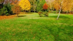 Höstgödsel Universal Granula Garden Start 5kg
