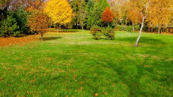 Höstgödsel Universal Granula Garden Start 5kg
