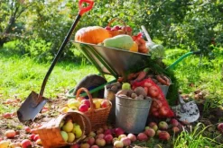 Hot Höstgödsel Universal Granula Garden Start 10kg Gödningsmedel