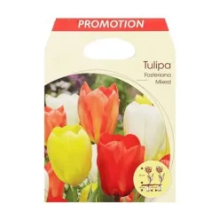 HÖSTLJUS TULIPA FOSTERIANA MIX FÖRPACKNING MED 20 LÖKAR