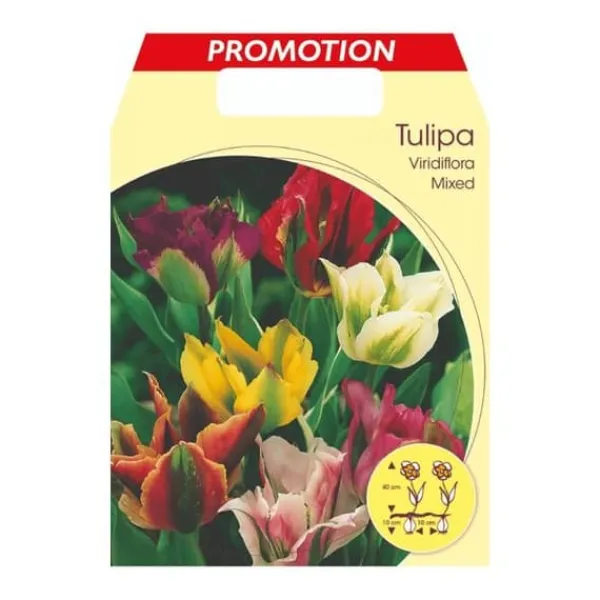 Outlet HÖSTTULPANER VIRIDIFLORA MIX AV FÄRGER FÖRPACKNING MED 20 LÖKAR LÖKAR LÖKAR Fröer & Lökar