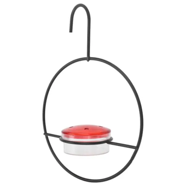 Clearance Hummingbird Feeder Vacker lätt hängande fågelmatare med 4 portar för utomhusbakgård För Fåglar & Småvilt
