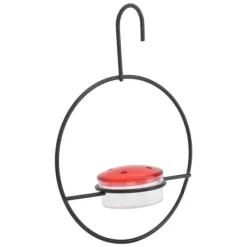 Clearance Hummingbird Feeder Vacker lätt hängande fågelmatare med 4 portar för utomhusbakgård För Fåglar & Småvilt