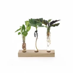 Discount Hydroponiskt Odlingkit i Brevlådeformat Ø7 cm × 10 cm Kit För Växt- & Örtplantering