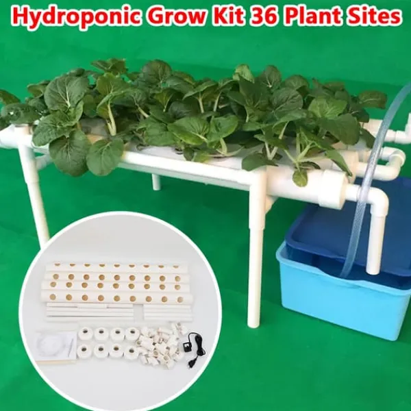 Hot Hydroponiskt odlingskit - 1-lagersystem - 54 hål - PVC-U - Håldiameter 3,2 cm - 4/6 rör - Lila Kit För Växt- & Örtplantering