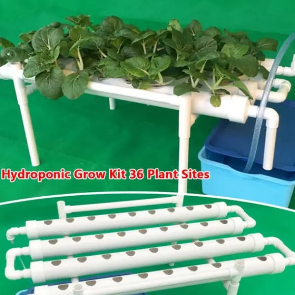 Hot Hydroponiskt odlingskit - 1-lagersystem - 54 hål - PVC-U - Håldiameter 3,2 cm - 4/6 rör - Lila Kit För Växt- & Örtplantering