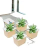 Sale Hydroponiskt odlingssystem, 4 planteringskärl, effektiv DWC-system, högkapacitets vattenpump Kit För Växt- & Örtplantering