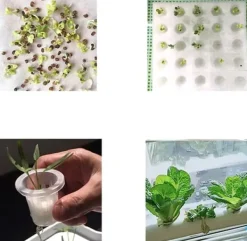 Online Hydroponiskt odlingssystem - Inomhus odlingskit - 36 odlingsplatser - 2 nivåer - För örter och grönsaker - Vit Kit För Växt- & Örtplantering