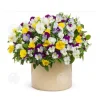 Sale INN Butterfly Flower Seeds 1000 Blomsterfrön Blomningstid 6-8 månader Blomfrön Prydnadsblommor Blomfrö Blommor