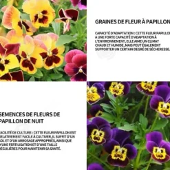 Sale INN Butterfly Flower Seeds 1000 Blomsterfrön Blomningstid 6-8 månader Blomfrön Prydnadsblommor Blomfrö Blommor