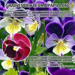 INN Butterfly Flower Seeds 398 Blomsterfrön Blomningstid 6-8 månader Blomfrön Prydnadsblommor Blomfrö