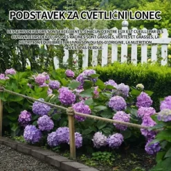Online INN Hortensior 3st 9cm Lövfällande buske Perenn växt Hortensia Trädgård Hemmakontor Trädgårdsdekoration Bonsaiväxter Trädgårdsväxter