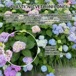 Online INN Hortensior 3st 9cm Lövfällande buske Perenn växt Hortensia Trädgård Hemmakontor Trädgårdsdekoration Bonsaiväxter Trädgårdsväxter