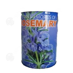 INN Rosemary Seeds Kreativa frölådor Minikrukväxter Burkfrön 9x6,5 cm Bordsförpackade fröplantor Ornament