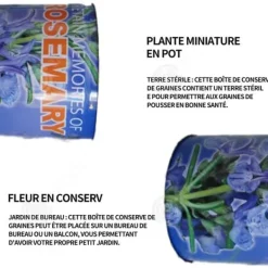 INN Rosemary Seeds Kreativa frölådor Minikrukväxter Burkfrön 9x6,5 cm Bordsförpackade fröplantor Ornament