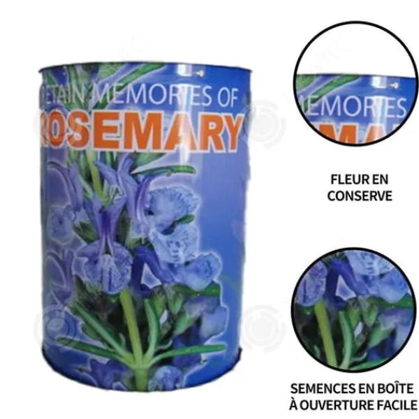 INN Rosemary Seeds Kreativa frölådor Minikrukväxter Burkfrön 9x6,5 cm Bordsförpackade fröplantor Ornament