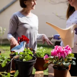 Discount Jordfuktighetsmätare Bevattningslarm Växtvattentestare Hygrometer Sensor Trädgårdsverktygssats för Planter Vattenpåminnelse Varningsvarning Trädgårdsprydnader