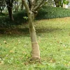 vidaXL Juterulle 0,25x10 m 100% jute 200 gsm