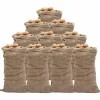 Clearance Jutesäckar 10 st 65x135 cm 100% jute 220 gsm Jord & Sand