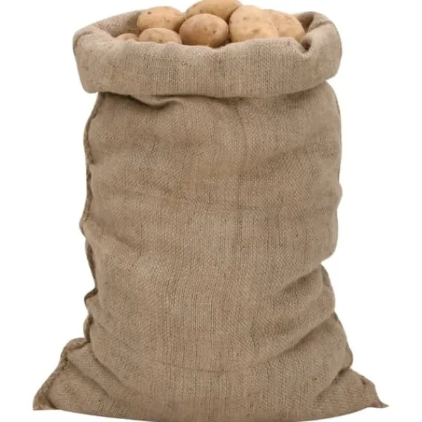 vidaXL Jutesäckar 5 st 60x105 cm 100% jute 340 gsm