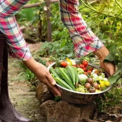 Kaliumsulfatgödselgranulat Trädgårdsstart 5kg Gödningsmedel