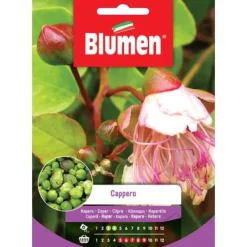 KAPERSAMEN trädgård frö frön blommor