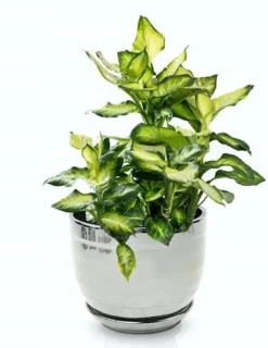 Keramisk blomkruka med stativ 13 cm silver